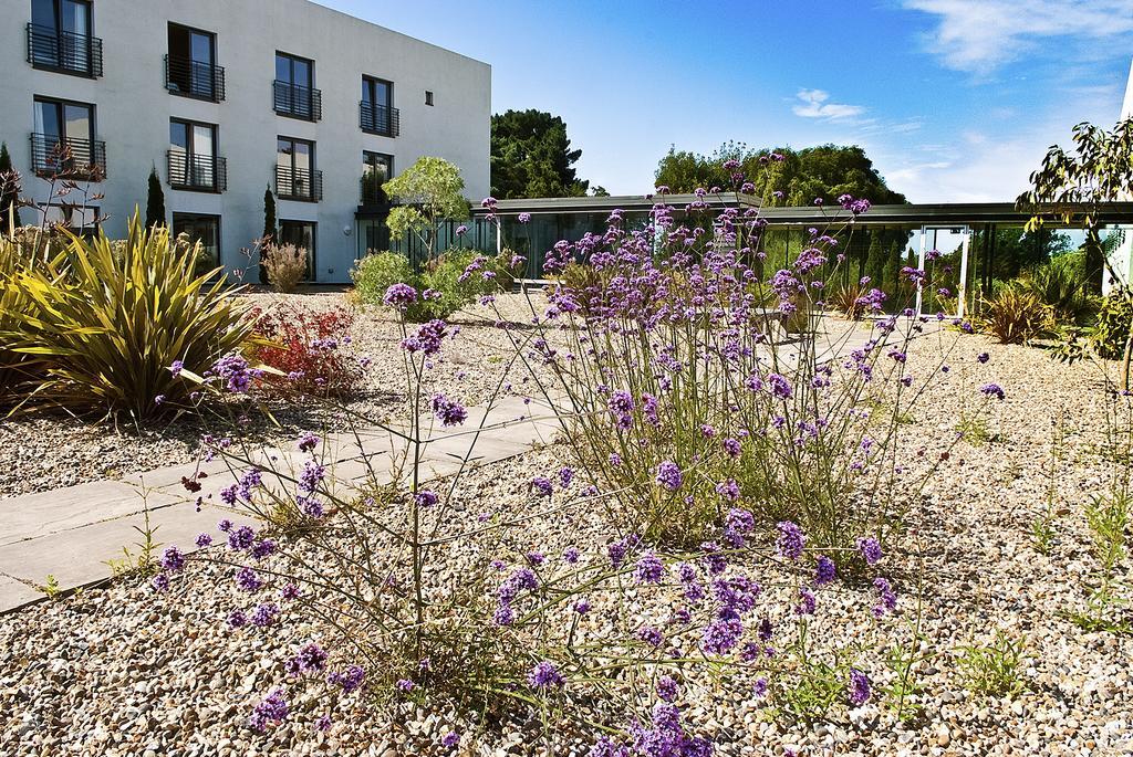Lifehouse Spa And Hotel Frinton-on-Sea Eksteriør bilde